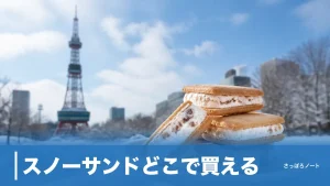 スノーサンドどこで買える？4か所の販売店と次シーズンを逃さない完全ガイドのアイキャッチ画像