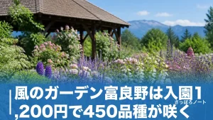 風のガーデン富良野は入園1,200円で450品種が咲く｜受付から送迎4分の回り方と見頃を解説のアイキャッチ画像